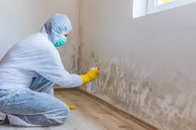 Umatilla, FL Mold Remediation Company